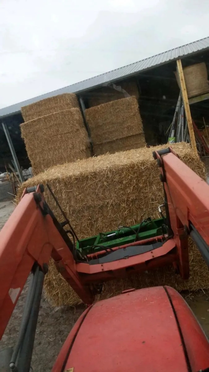 Hay Haylage Straw - Image 2
