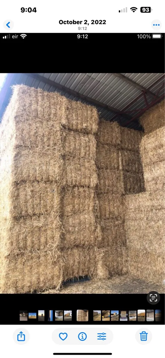 Hay straw and straw - Image 2