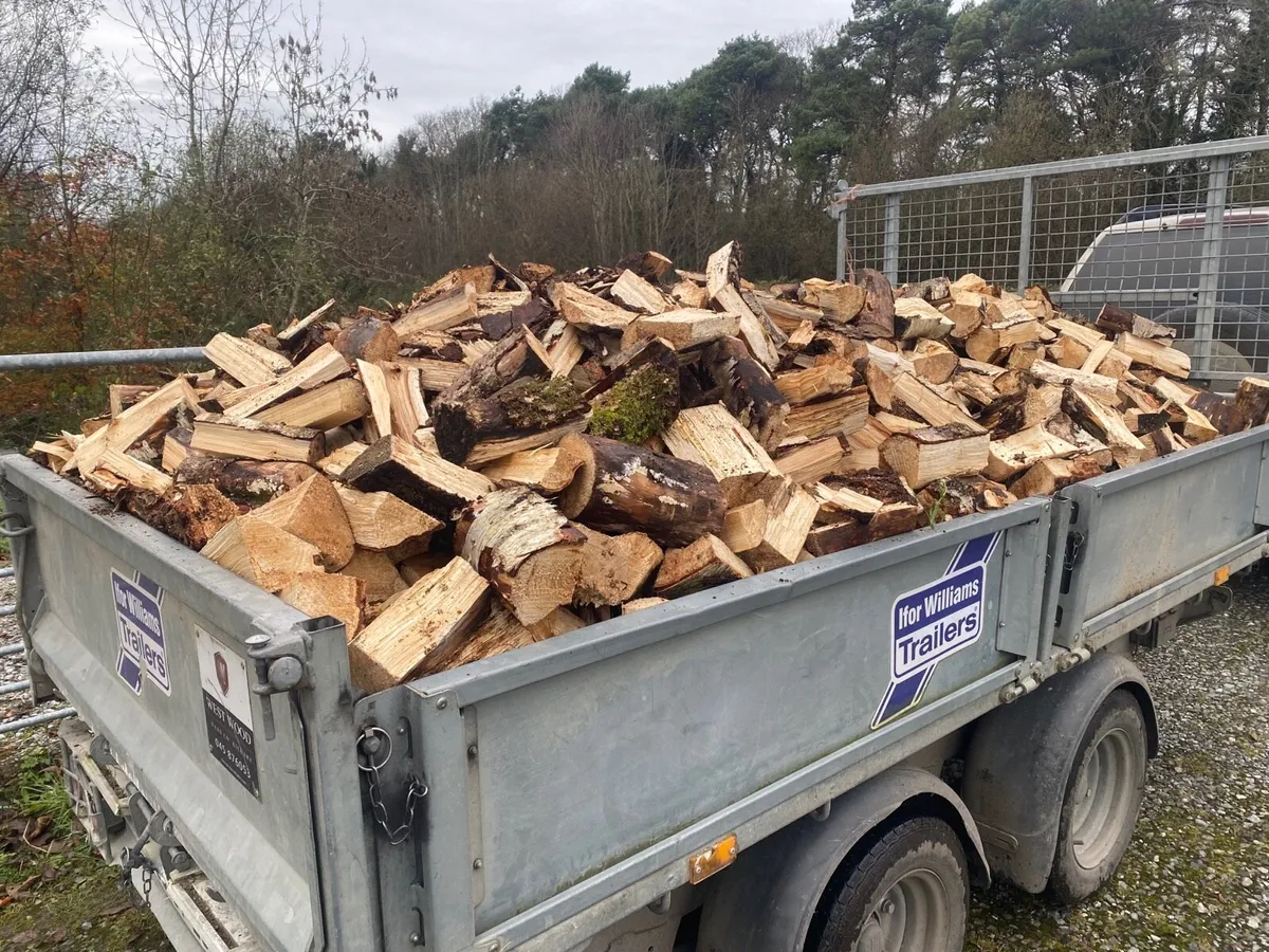 Firewood - Image 1