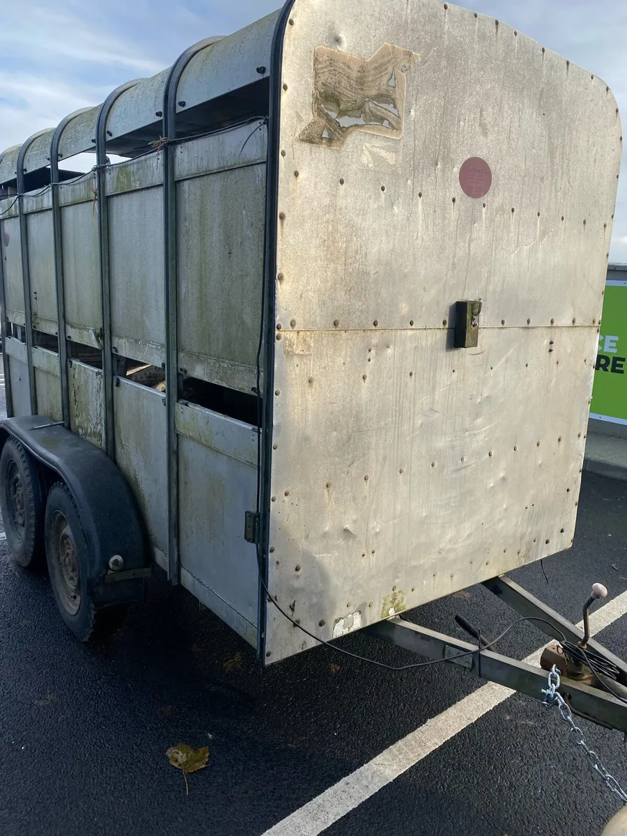 Ifor William trailer 10/5 - Image 3