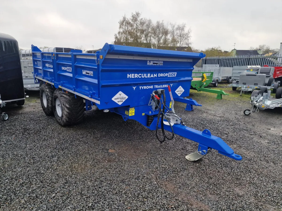 Tyrone Trailers 10 ton tipper trailer - Image 4
