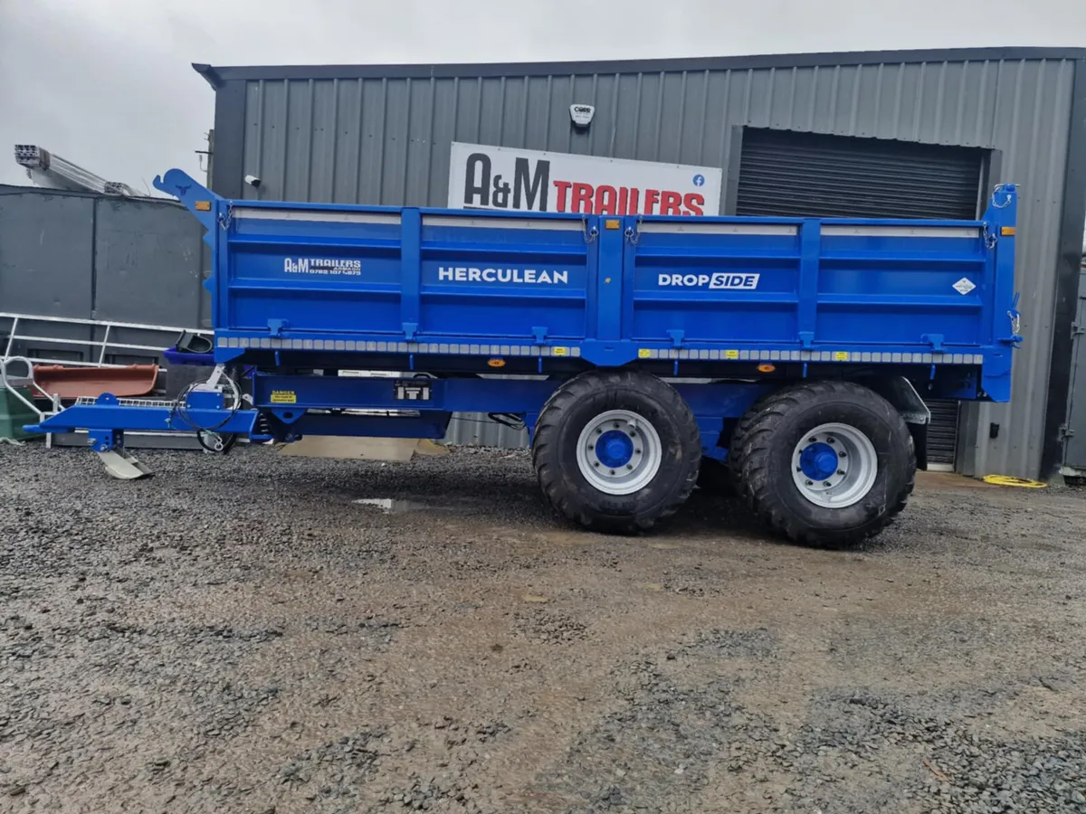 Tyrone Trailers 10 ton tipper trailer - Image 3
