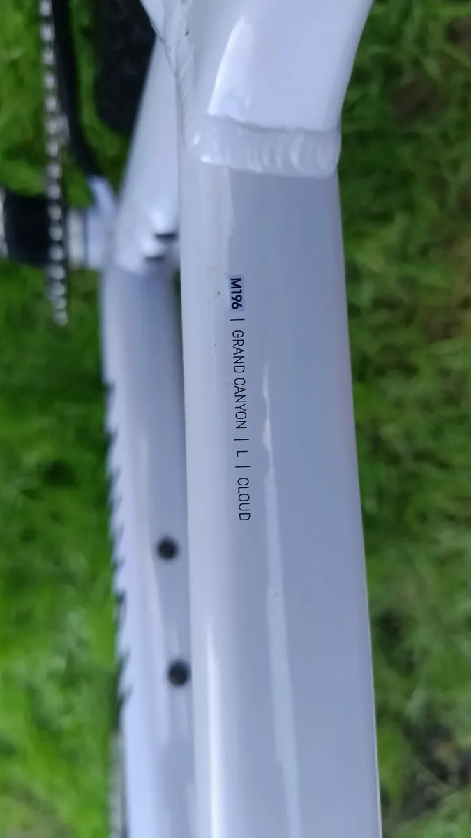 Canyon Grand Canyon 6 - Image 4