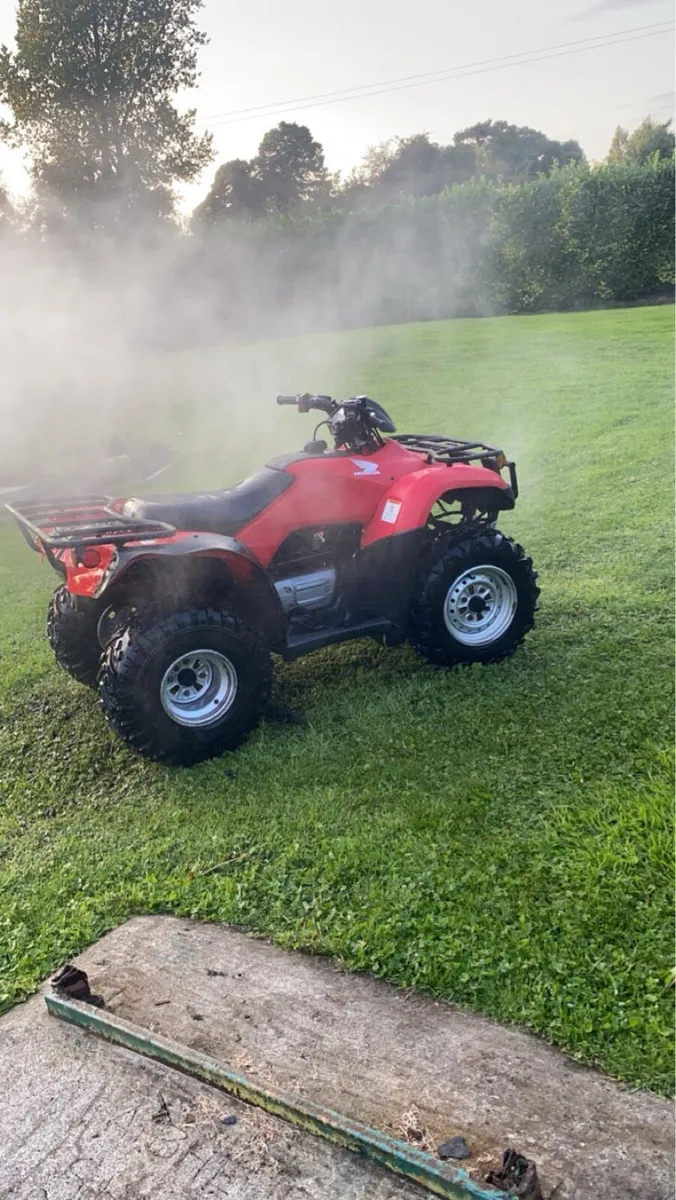 250cc farm quad - Image 3