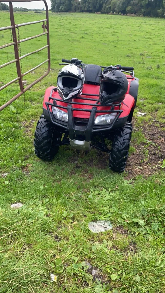 250cc farm quad - Image 4