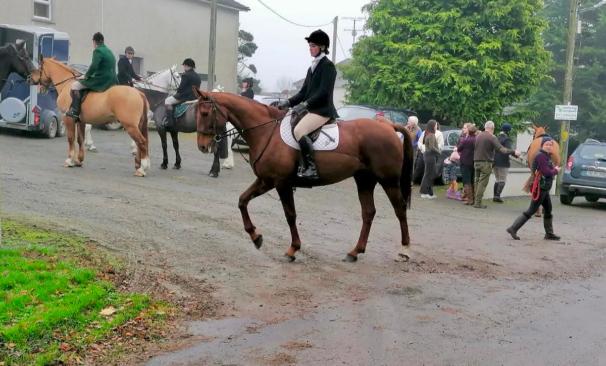 All rounder - Image 4