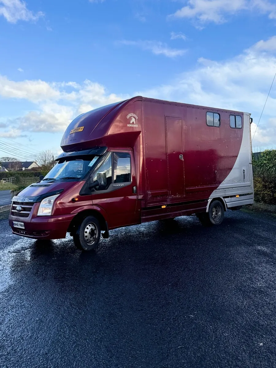 Ford Transit Horse Truck For Sale - Image 1