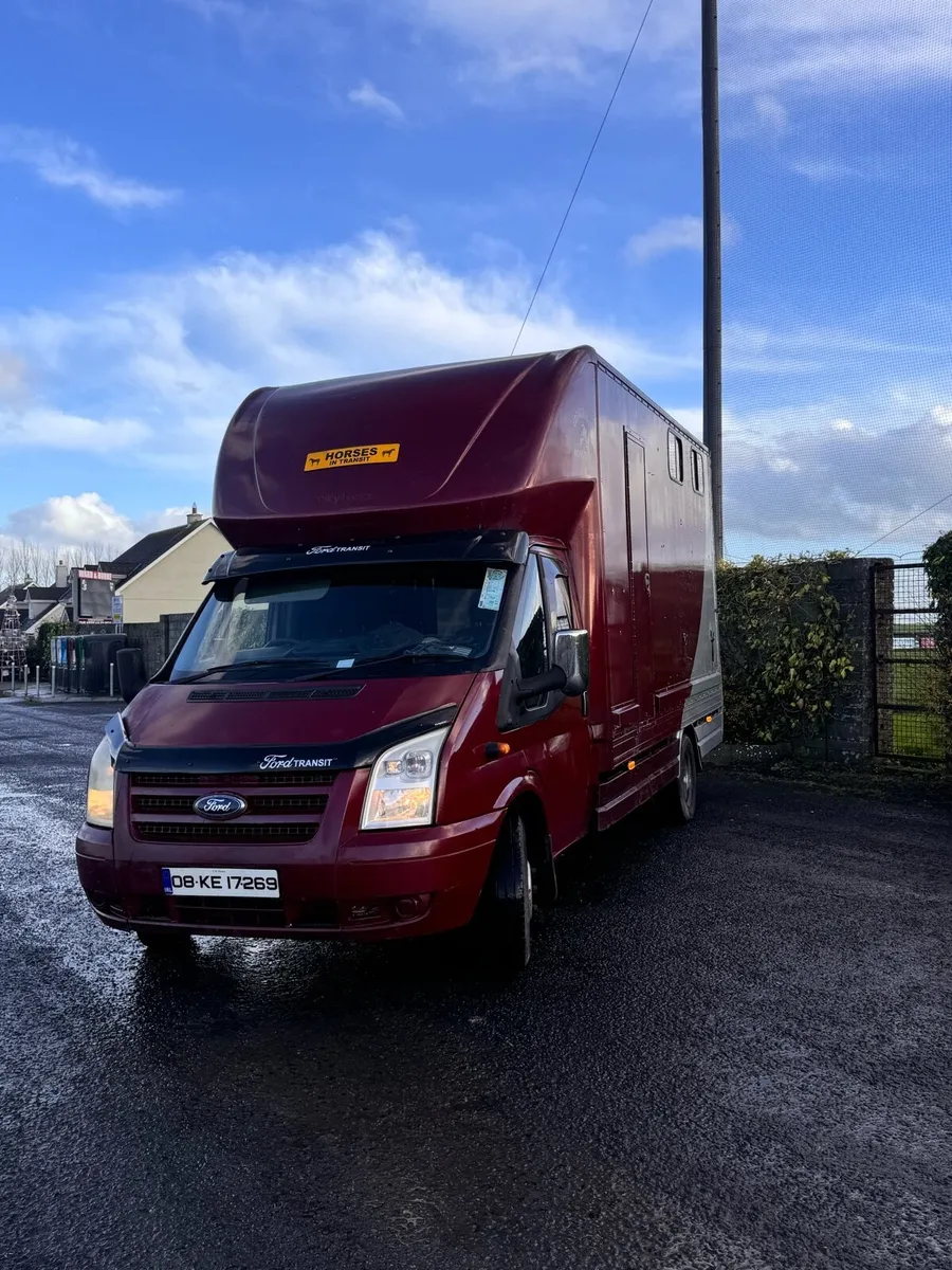Ford Transit Horse Truck For Sale - Image 4