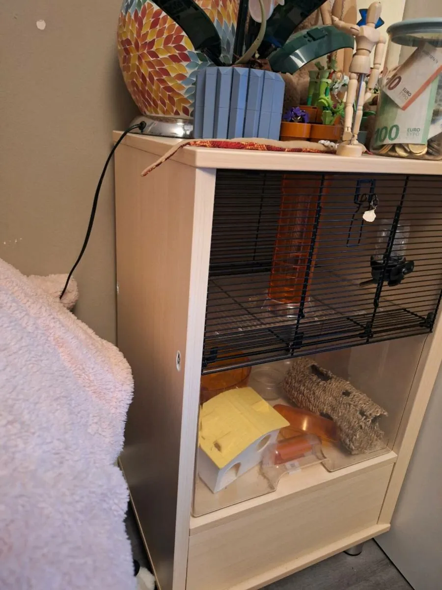 Hamster/small animal house - Image 2
