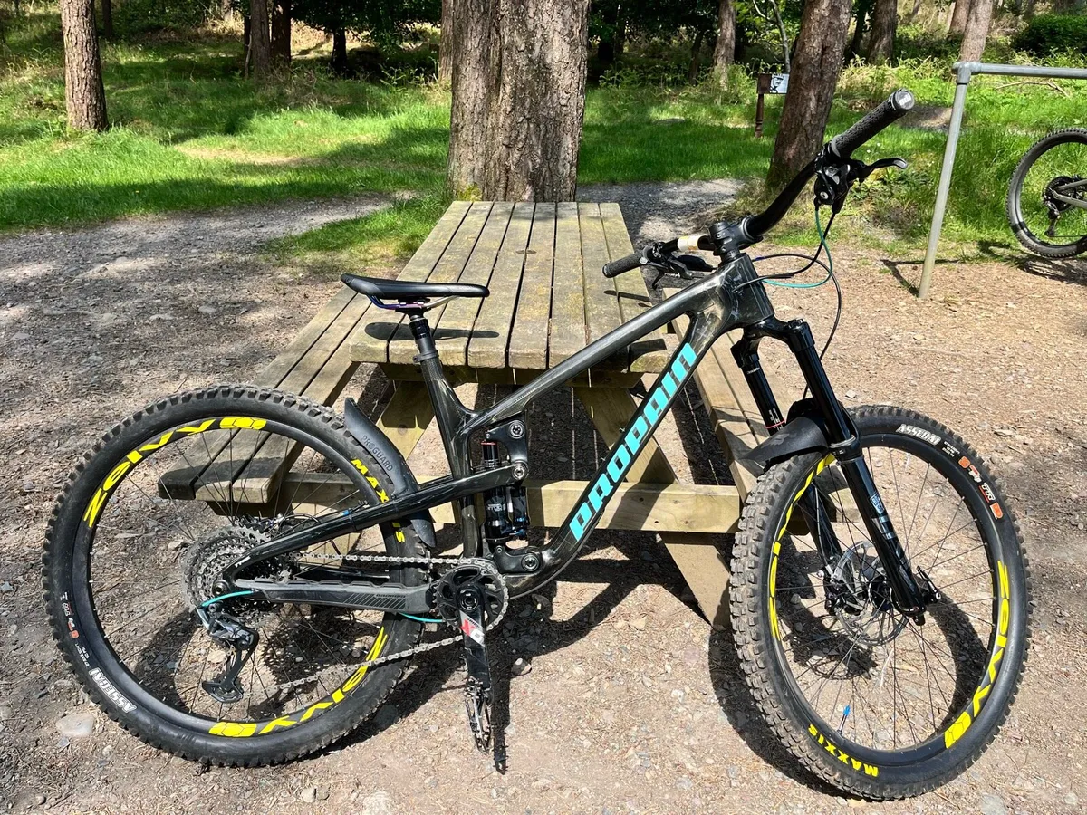 Propane Tyee Full Carbon size medium - Image 3