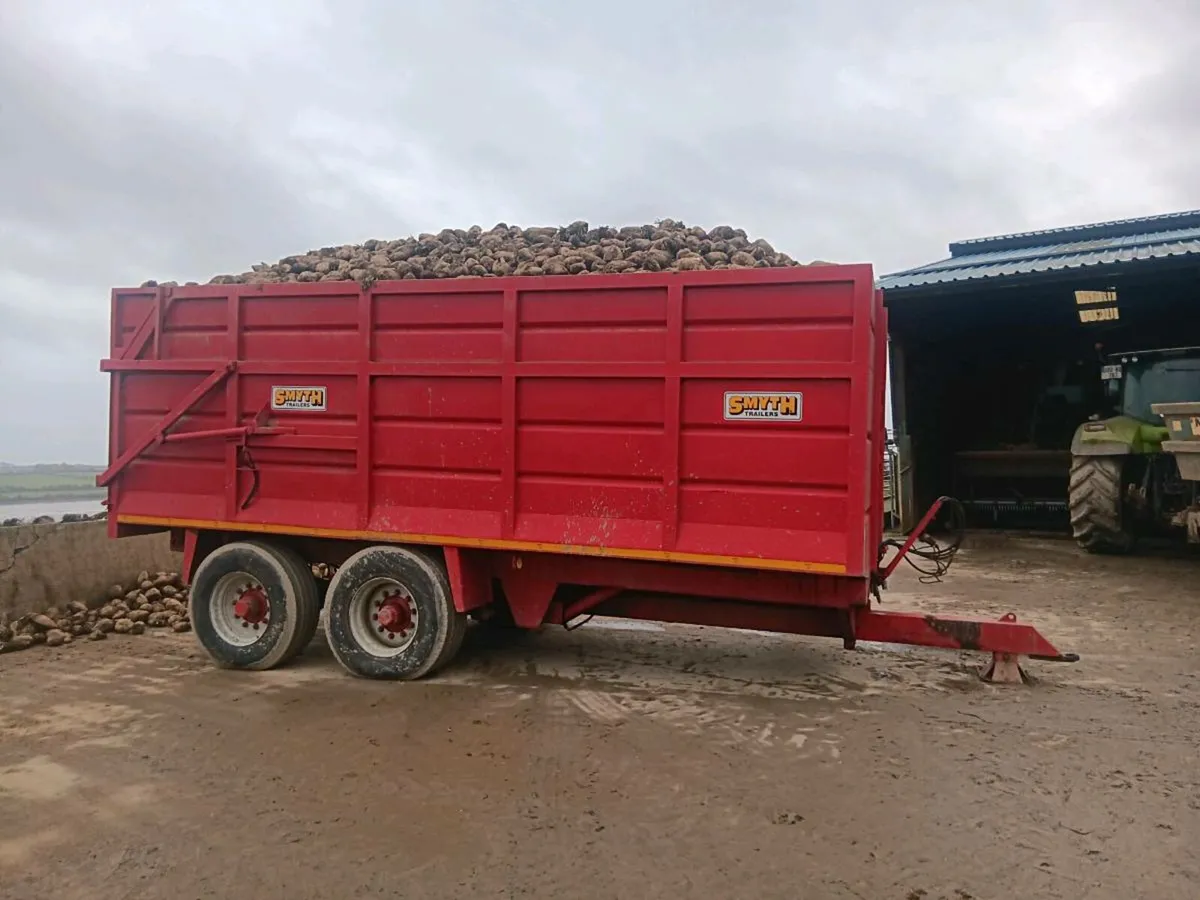 Beet For sale - Image 1