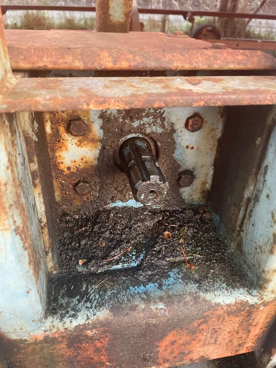 Eureka Trailer / Scallion, Leek Lifter - Image 4