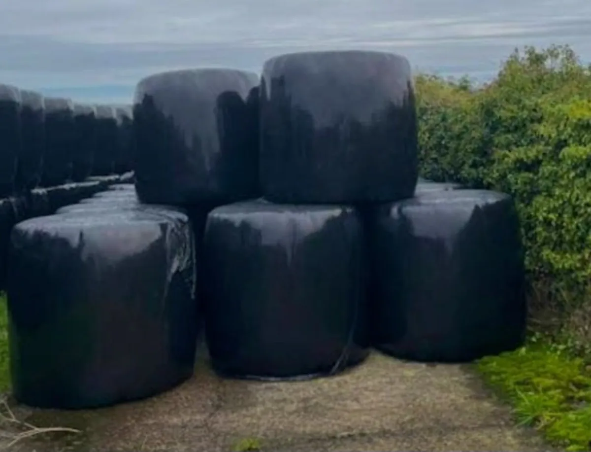 Bales of haylage