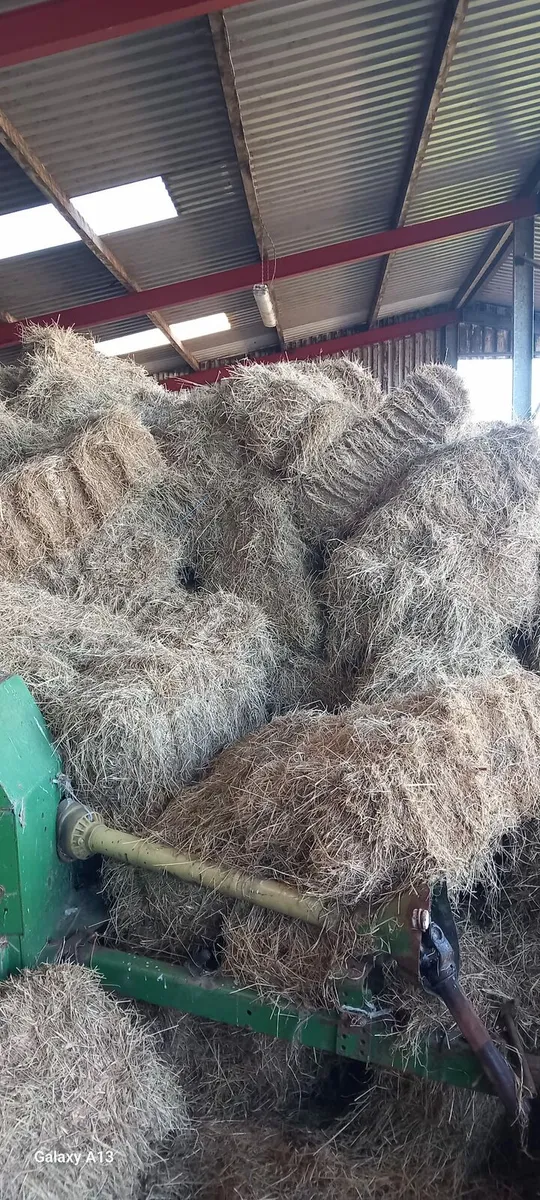 500 bales of good quality hay