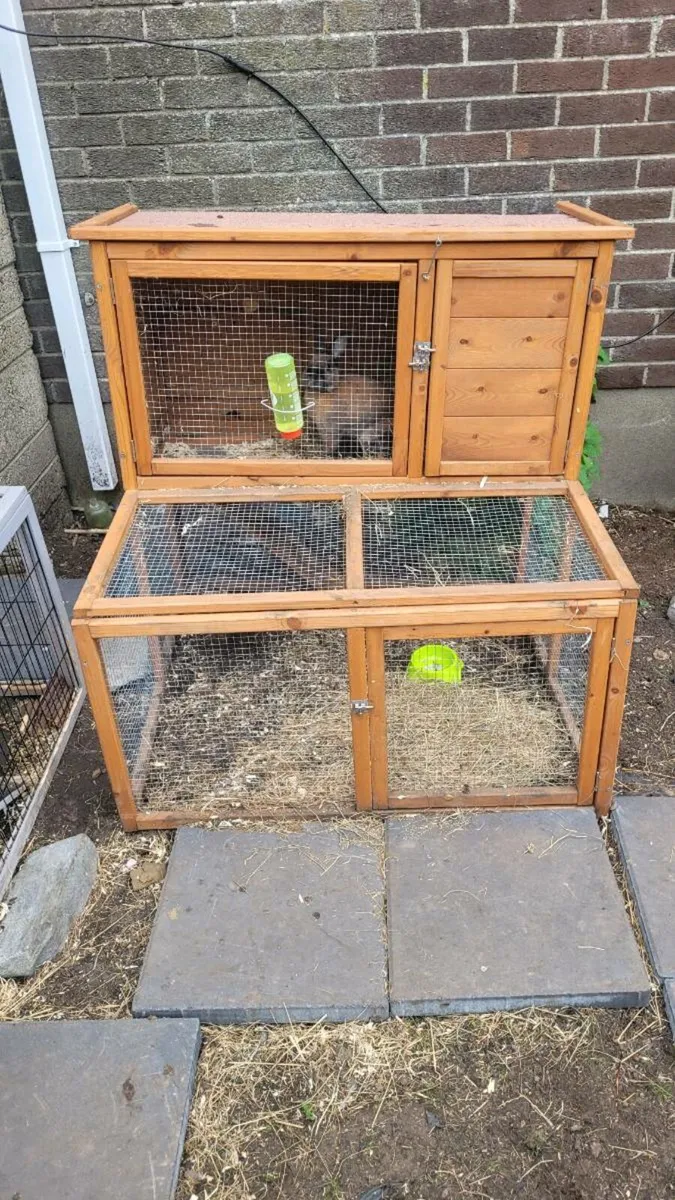 5 Rabbit hutch NEED TO GO - Image 4