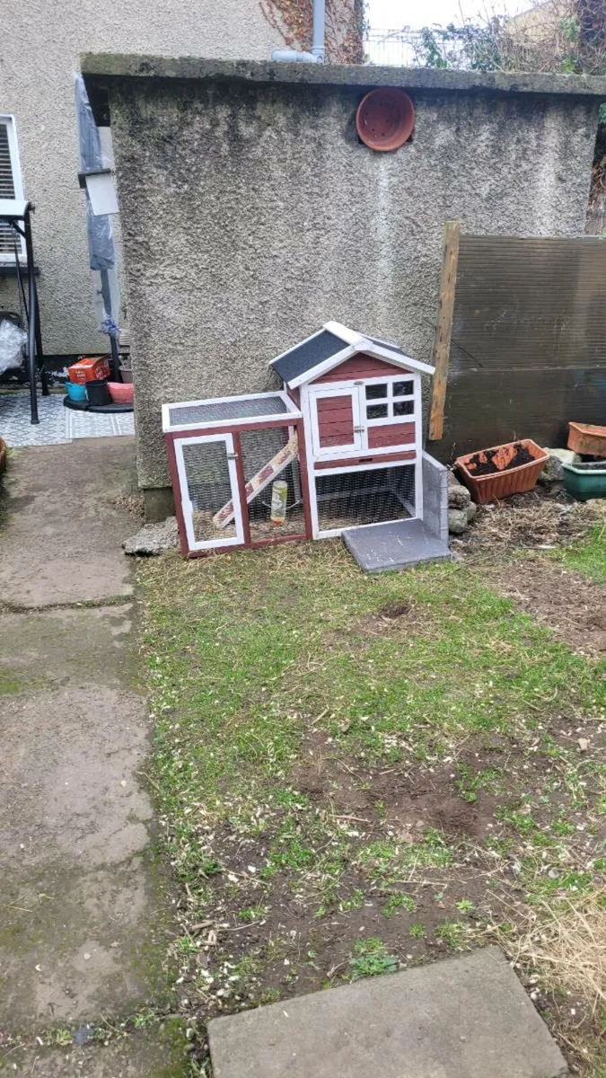 5 Rabbit hutch NEED TO GO - Image 3