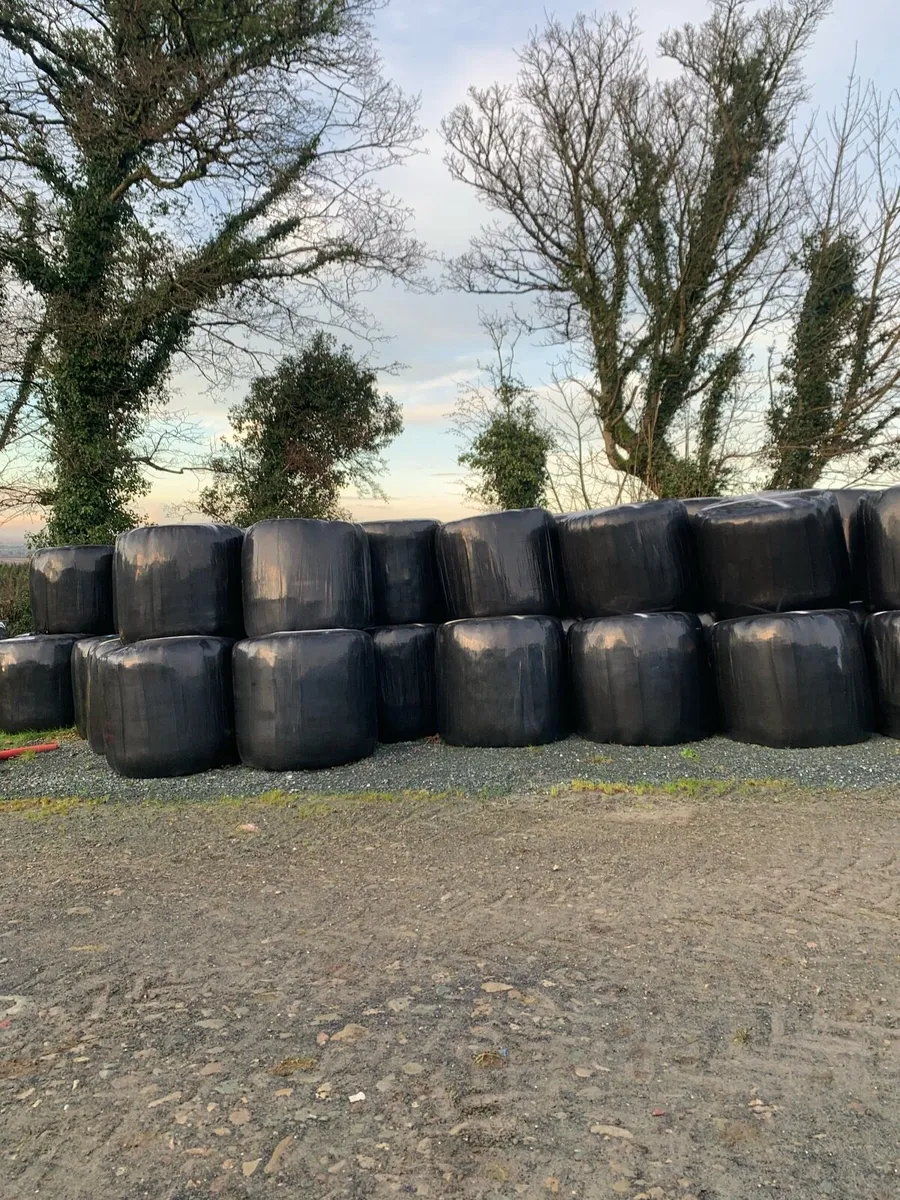 Bales of silage - Image 1