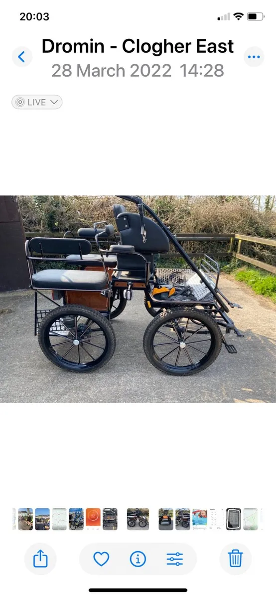 Pleasure Vehicle