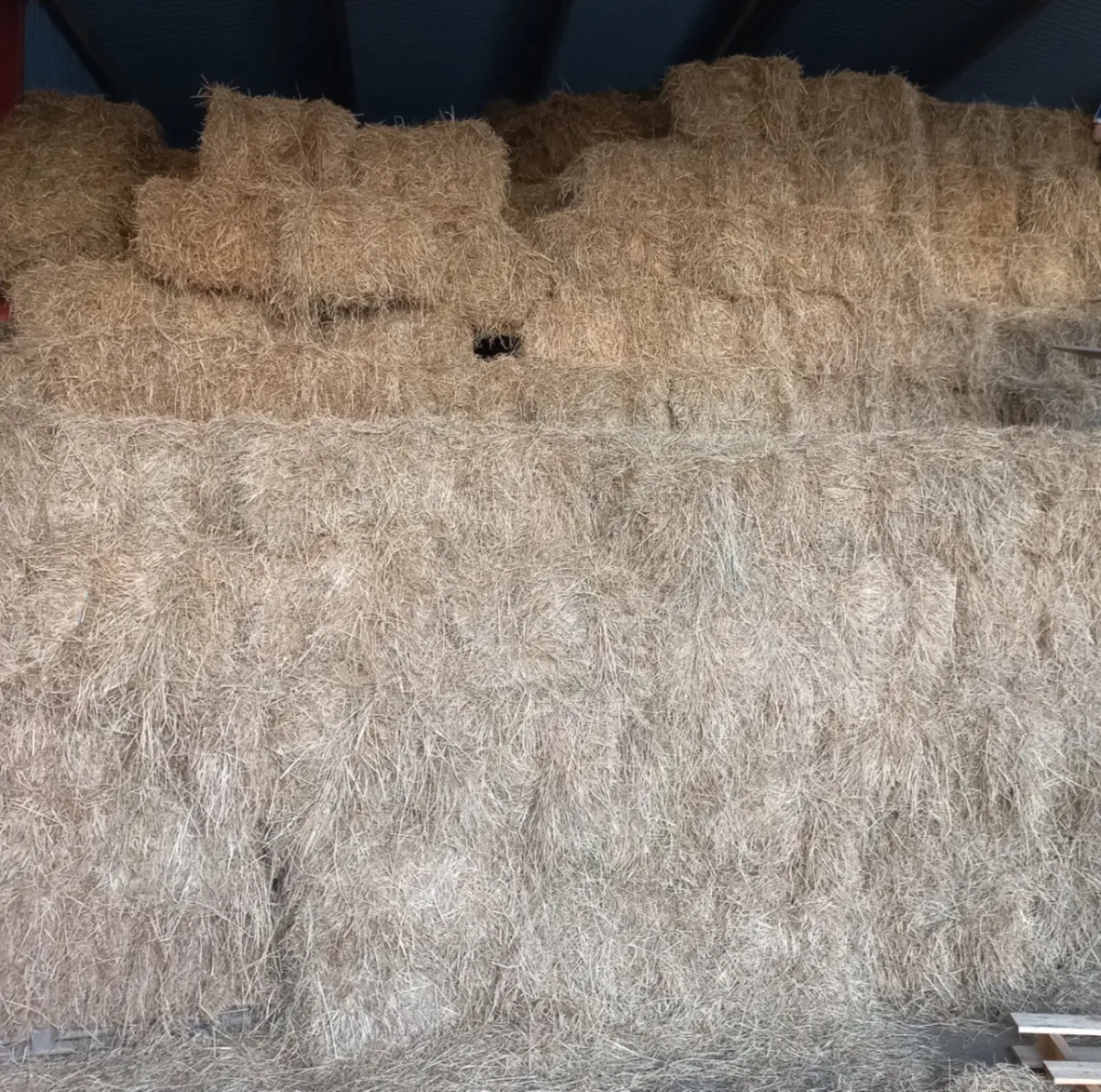 Hay bales - Image 2