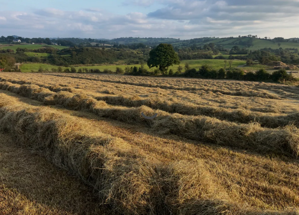 Hay bales - Image 3