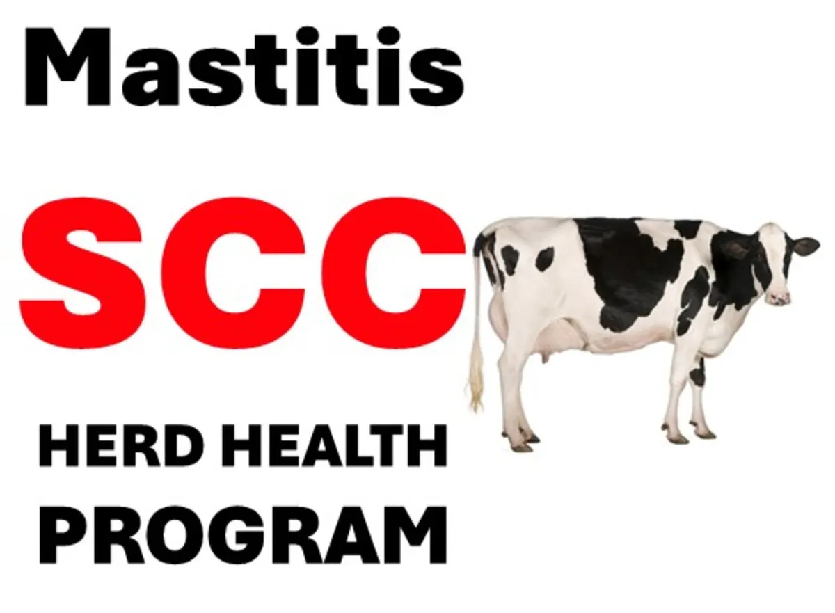 Mastitis & High Scc Program - Image 2