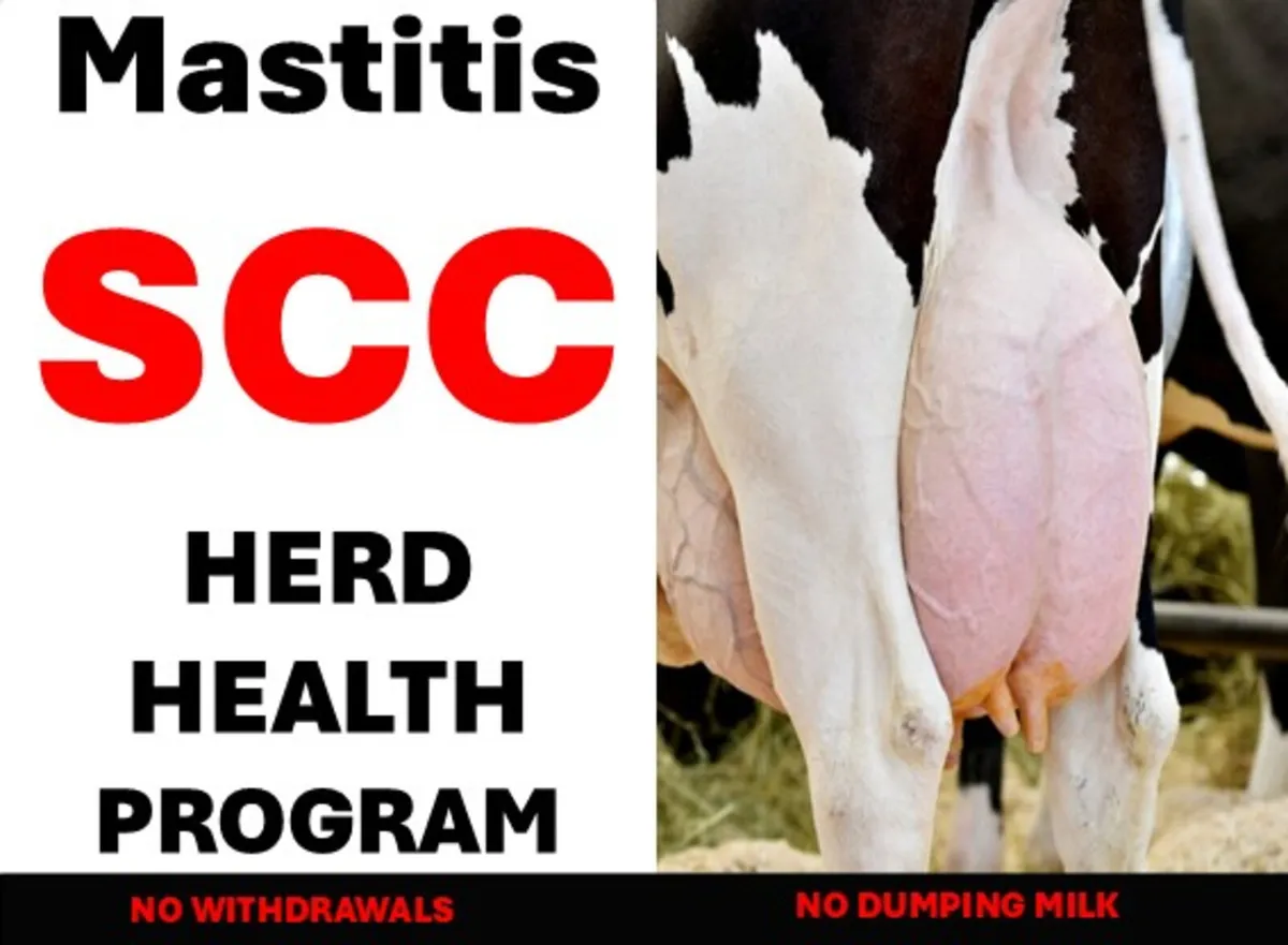 12 month SCC herd Program €14 per cow - Image 1