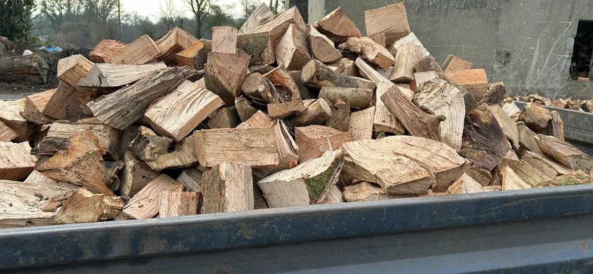 Ash beech and oak firewood - Image 2