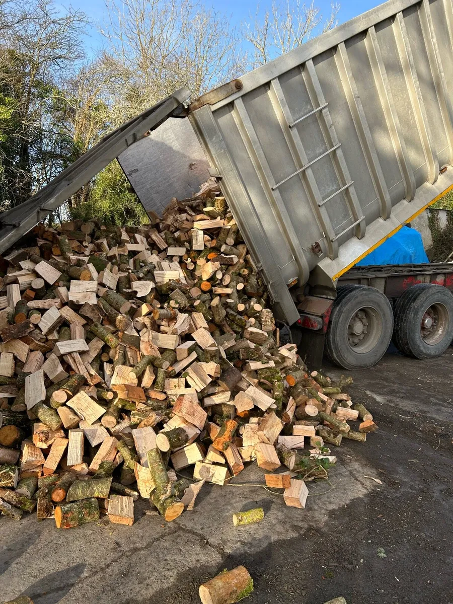 Ash beech and oak firewood - Image 3