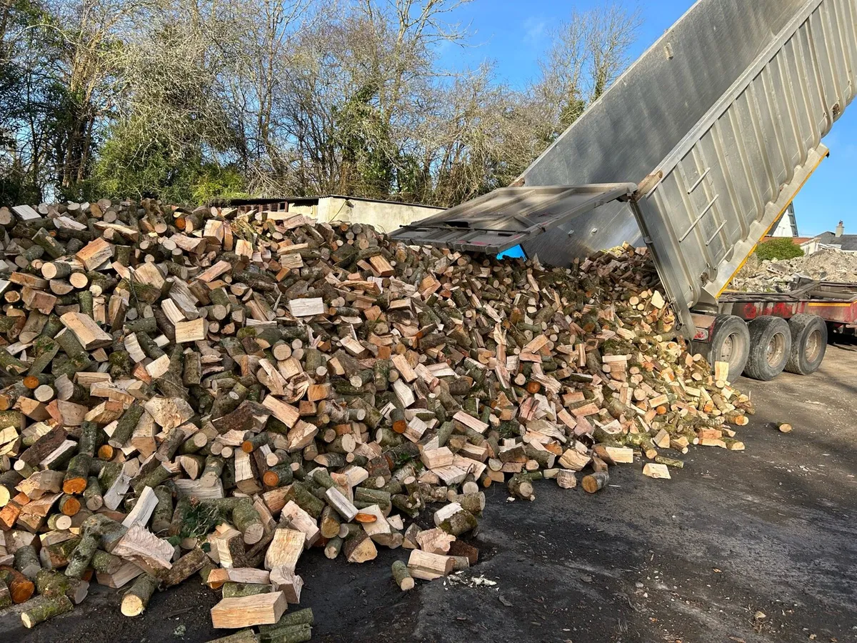 Ash beech and oak firewood - Image 4