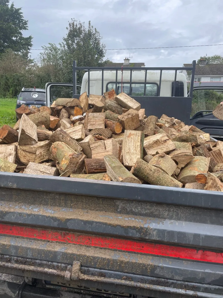Ash beech and oak firewood - Image 1