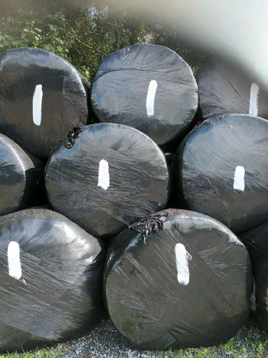 Silage bales - Image 4