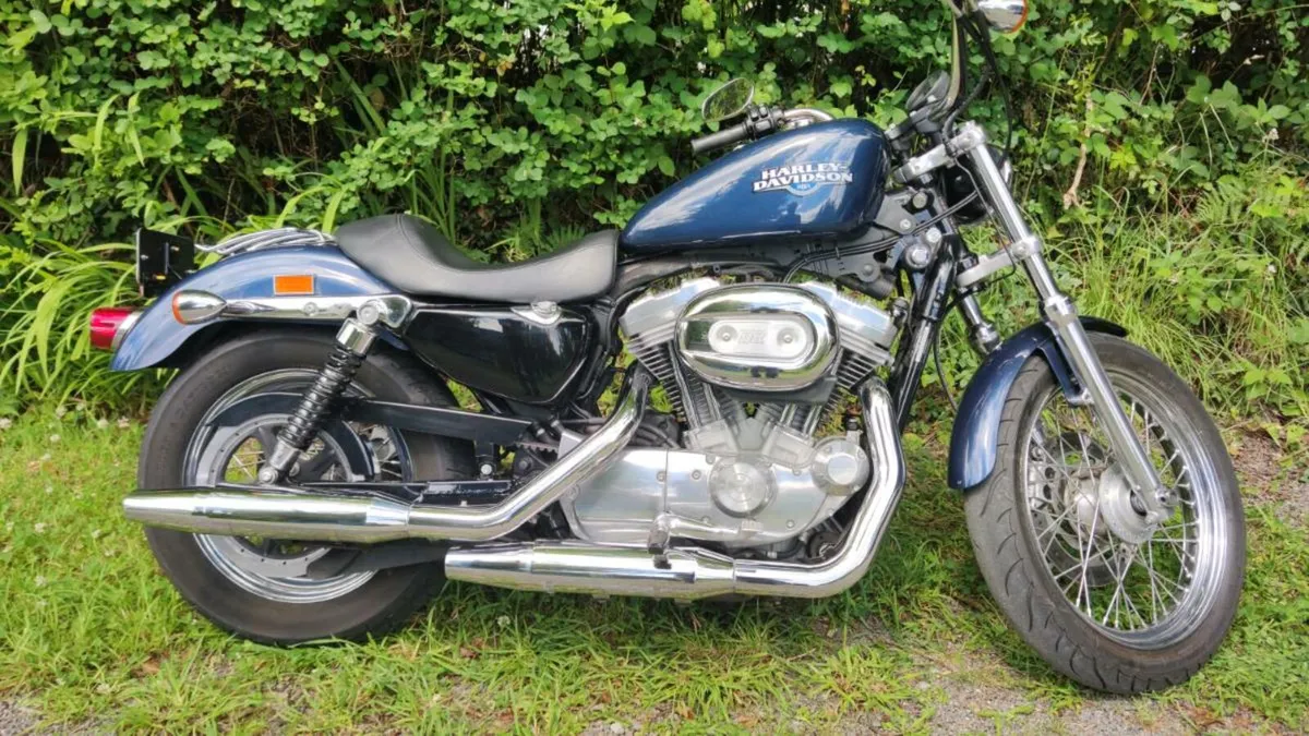 Harley Davidson sportster - Image 4