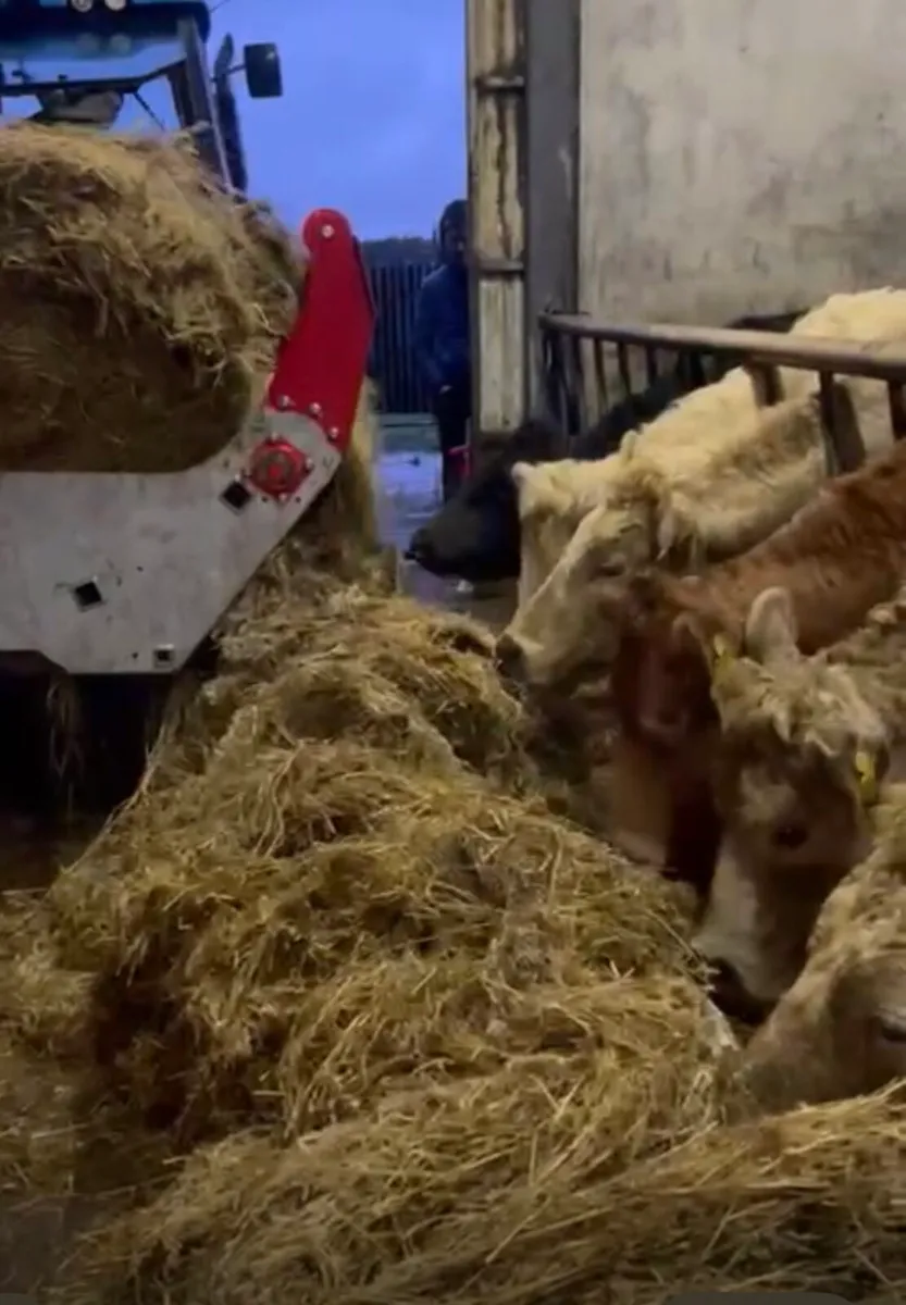 Balemaster , bale feeder - Image 4