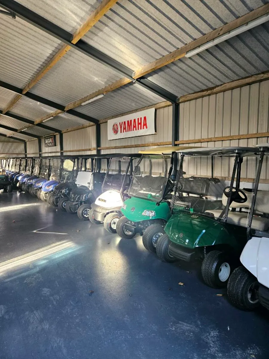 Golf buggy - Image 2