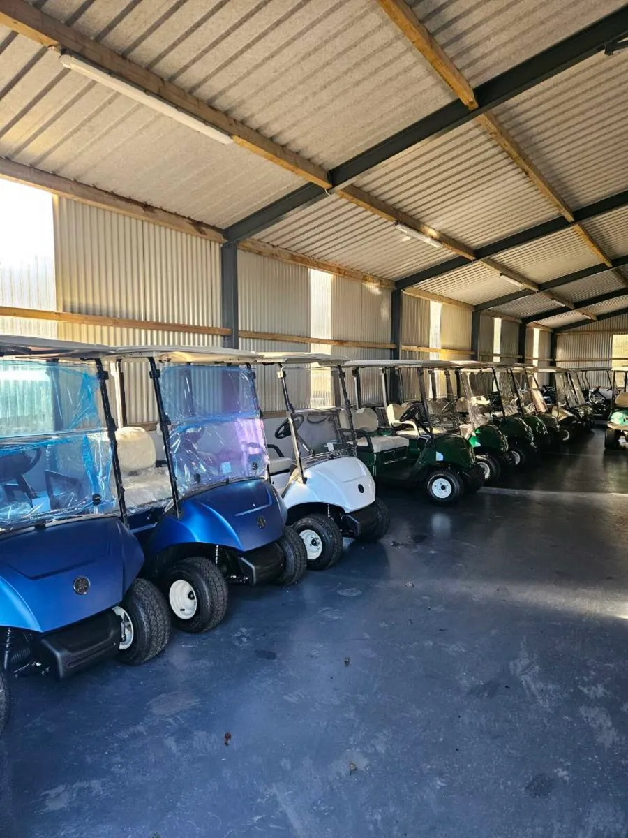 Golf buggy - Image 1