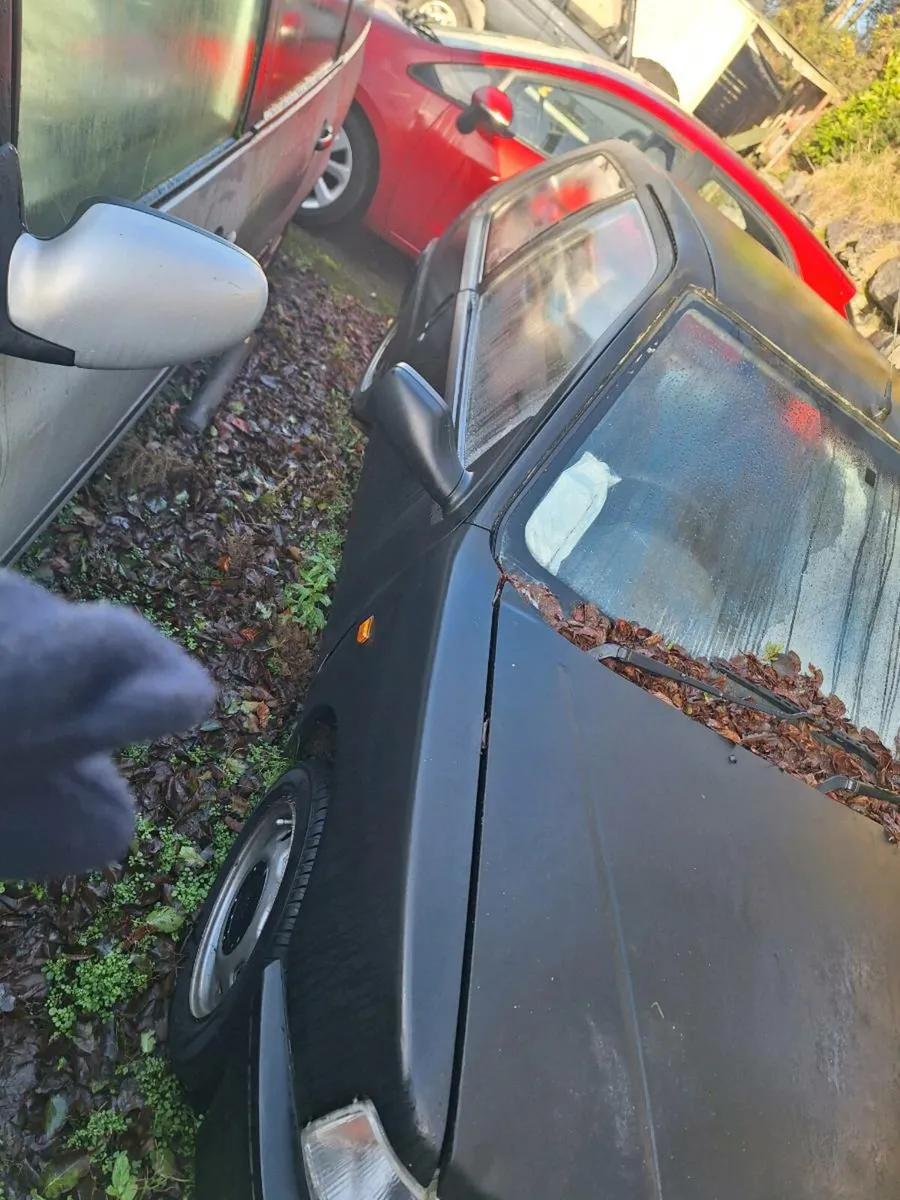 Peugeot 1993 - Image 1