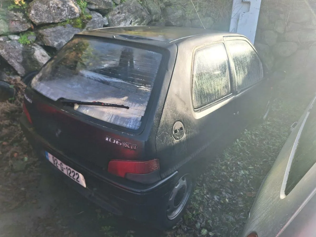 Peugeot 1993 - Image 1