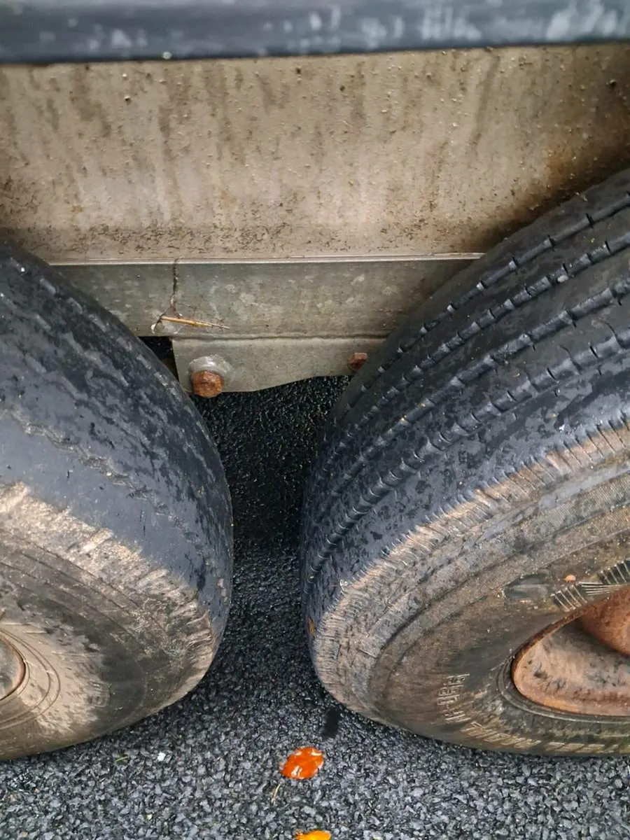 Cattle trailer - Image 3