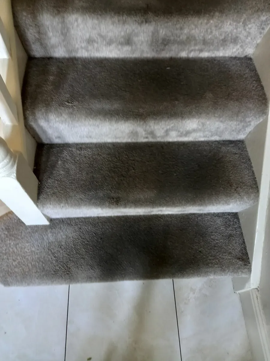 Carpet and upholstery cleaning - Image 3