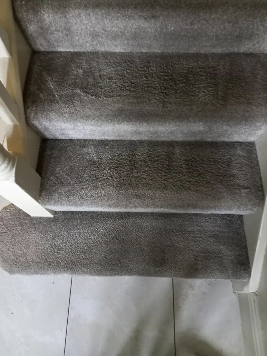 Carpet and upholstery cleaning - Image 4