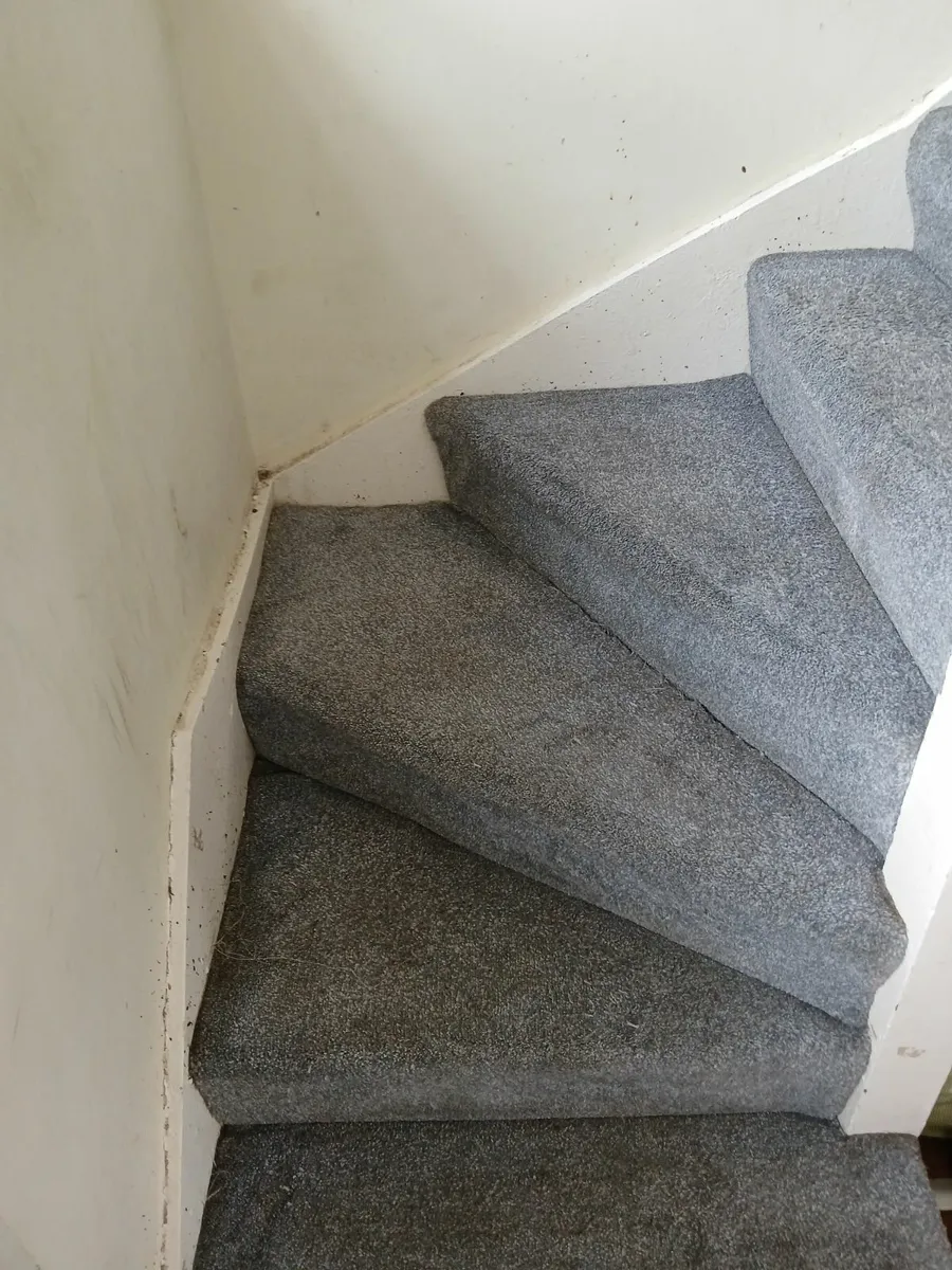 Carpet and upholstery cleaning - Image 2