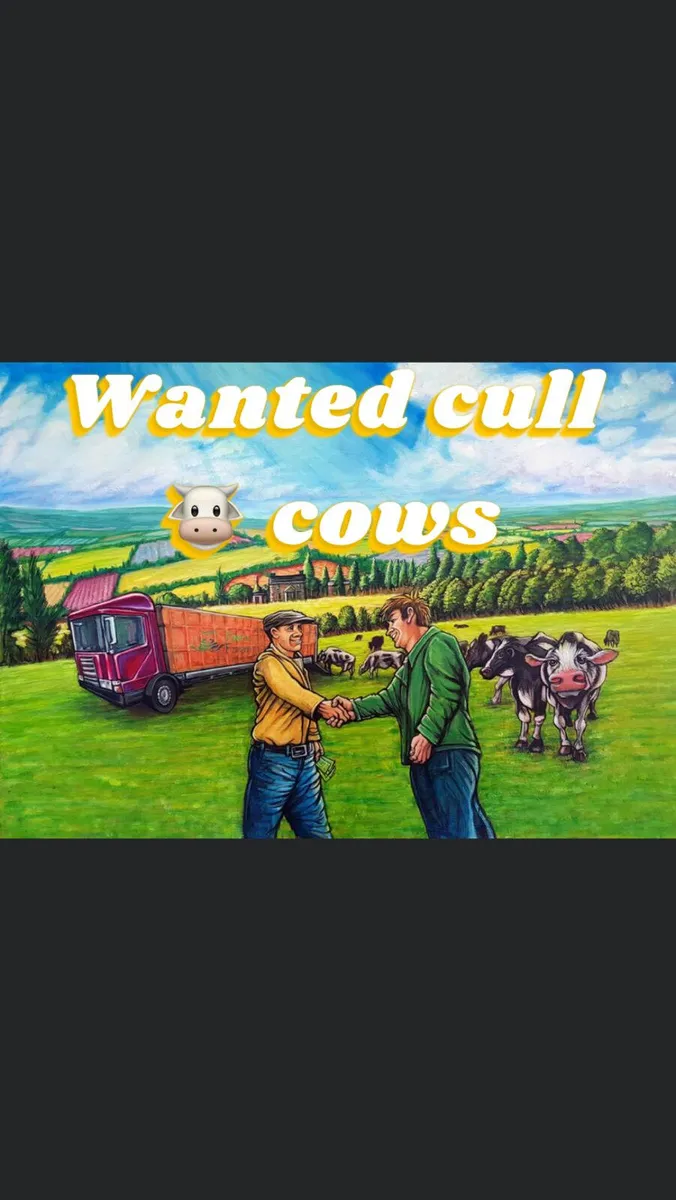 We buy all types of cattle