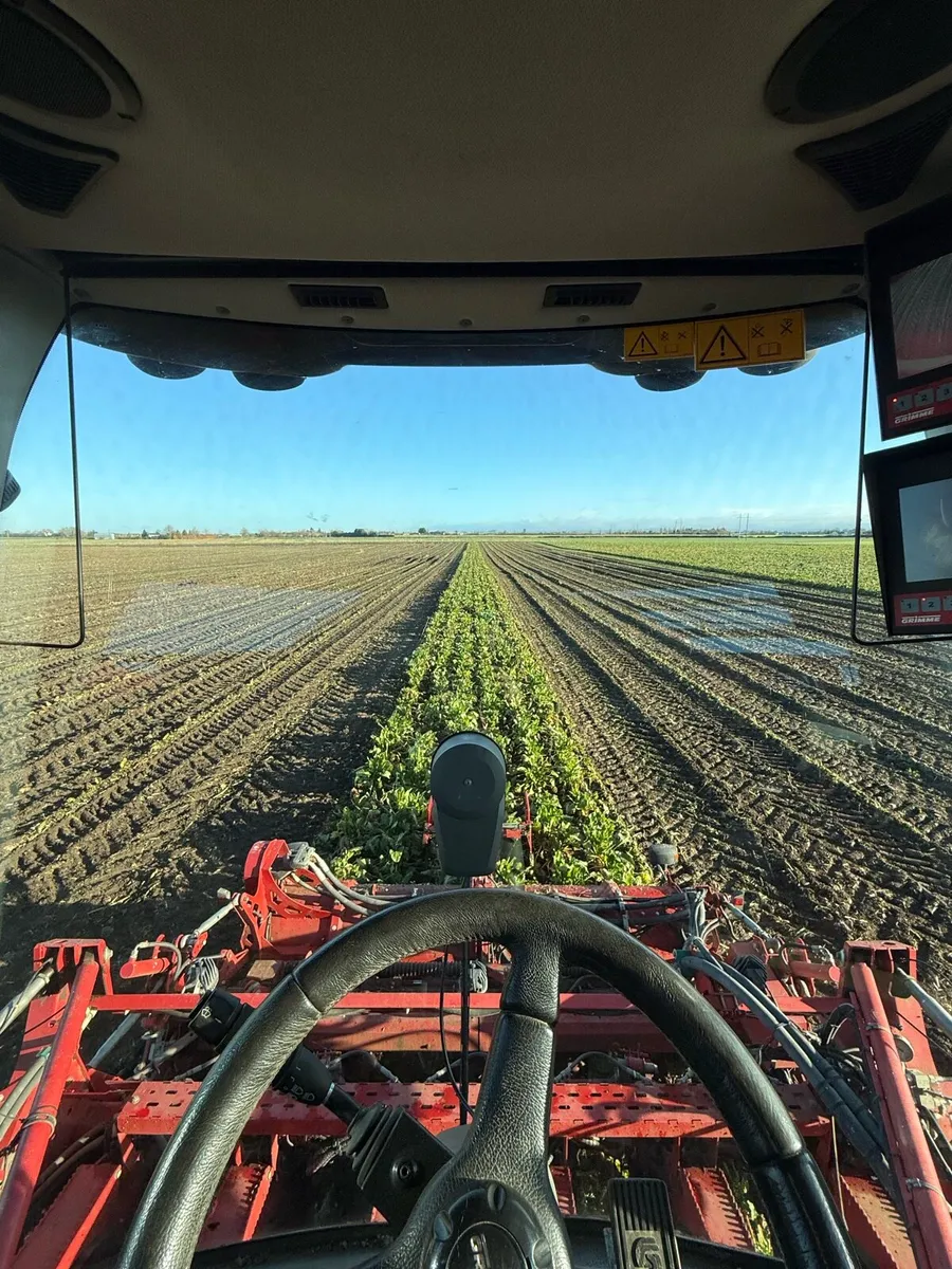 Endermax Beet - Image 1