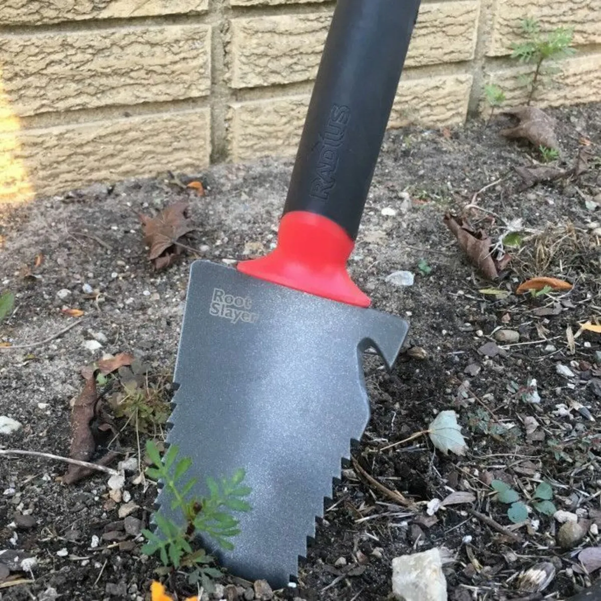 Root Slayer – Hand Size - Image 3