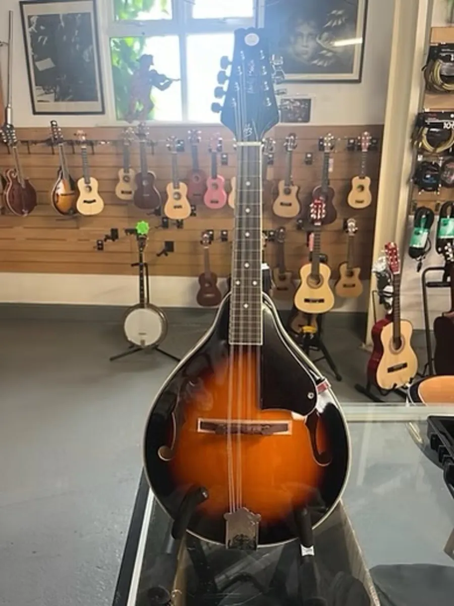 MANDOLINS FOR SALE @ THE MUSIC STORE CORK - Image 1