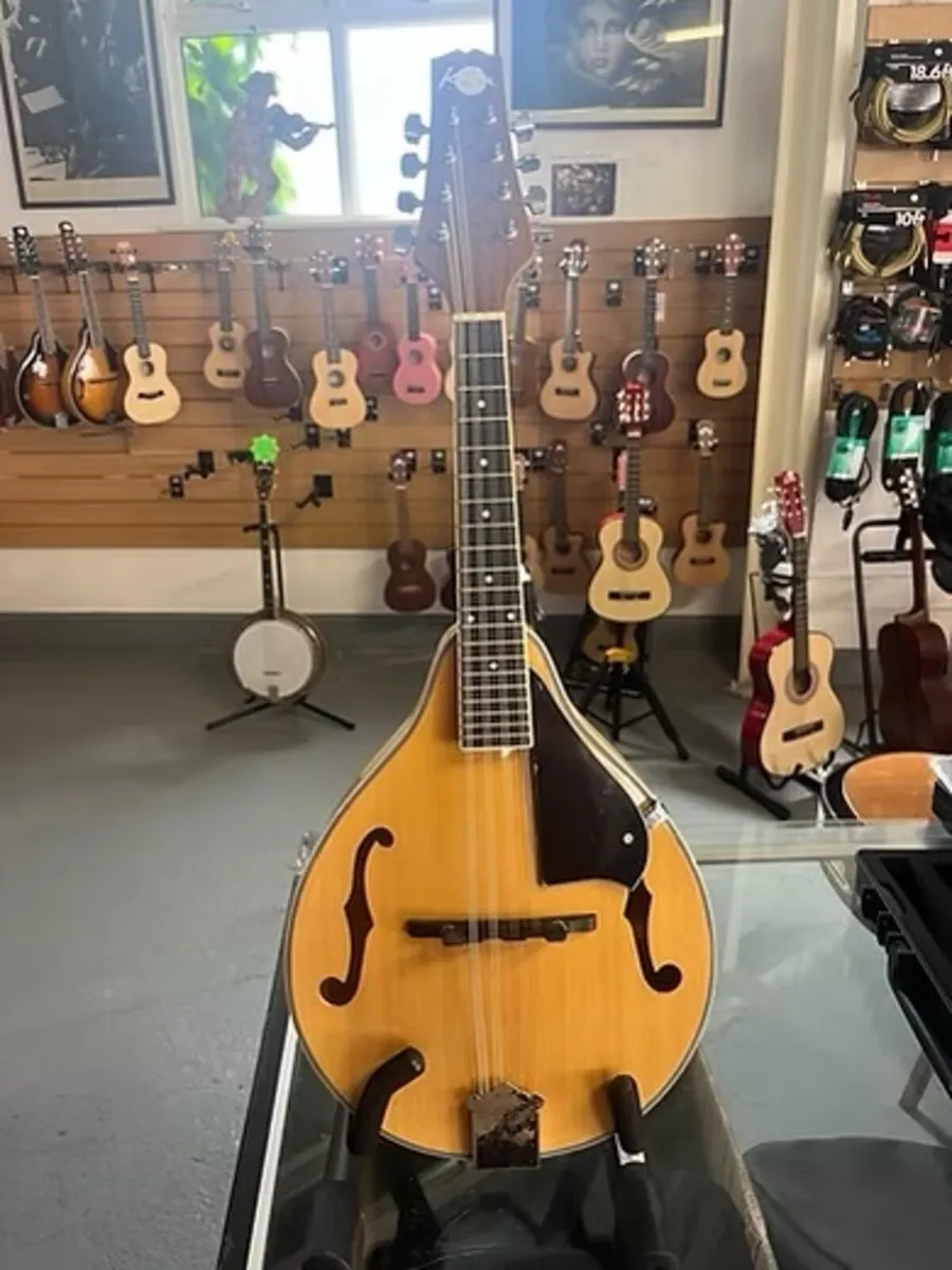 MANDOLINS FOR SALE @ THE MUSIC STORE CORK - Image 3