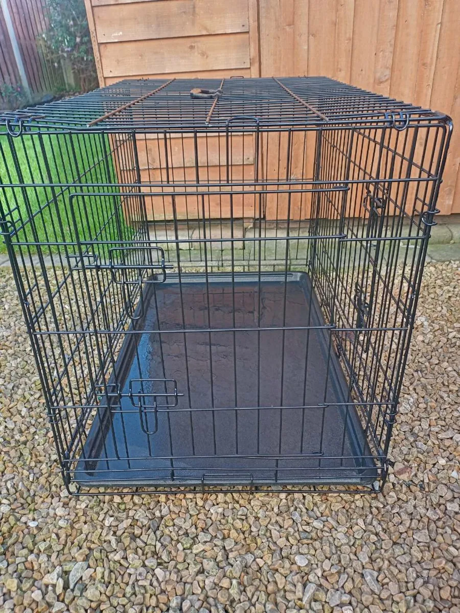 Large dog travel crate. - Image 2
