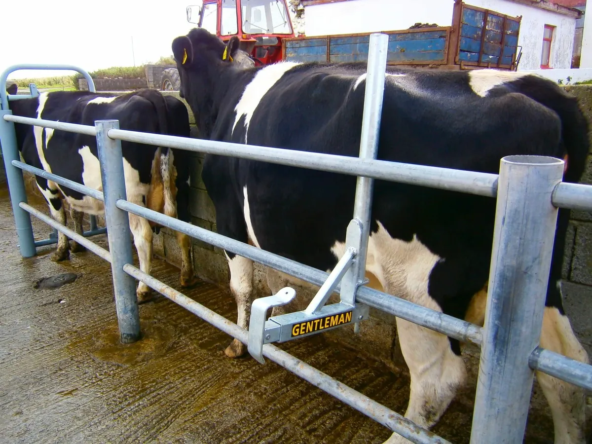 Anti Backing Crush Bar - Image 3