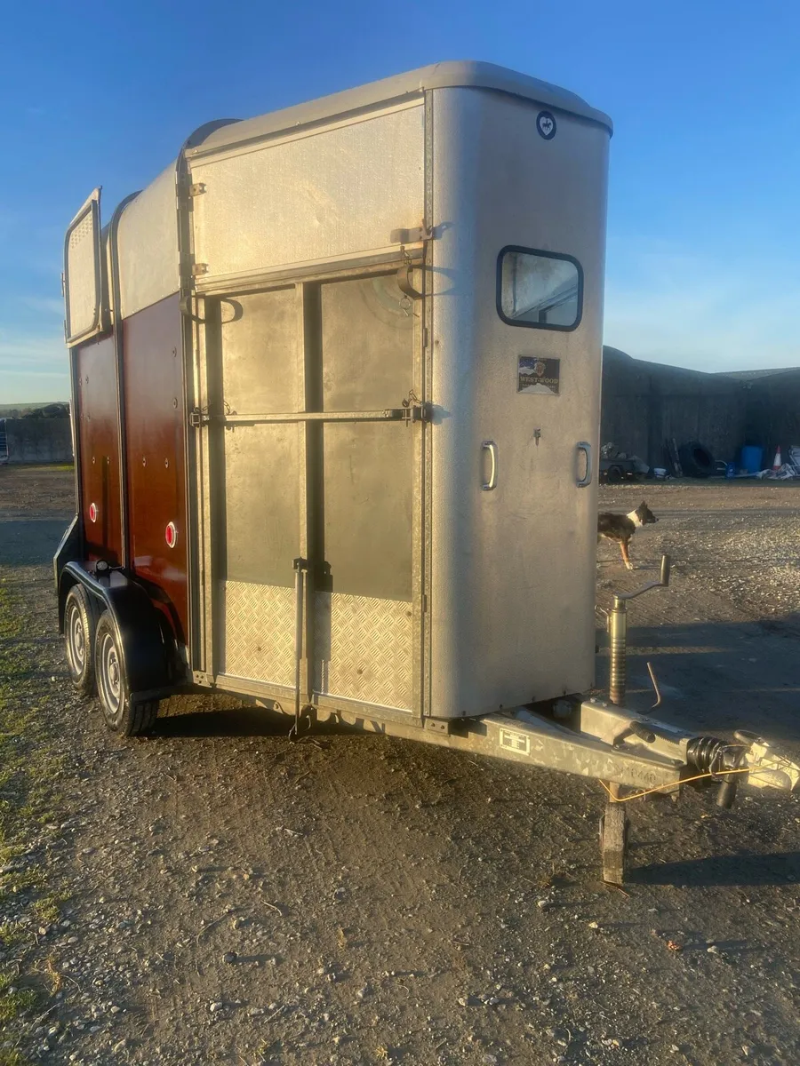 Ifor Williams 505 - Image 2