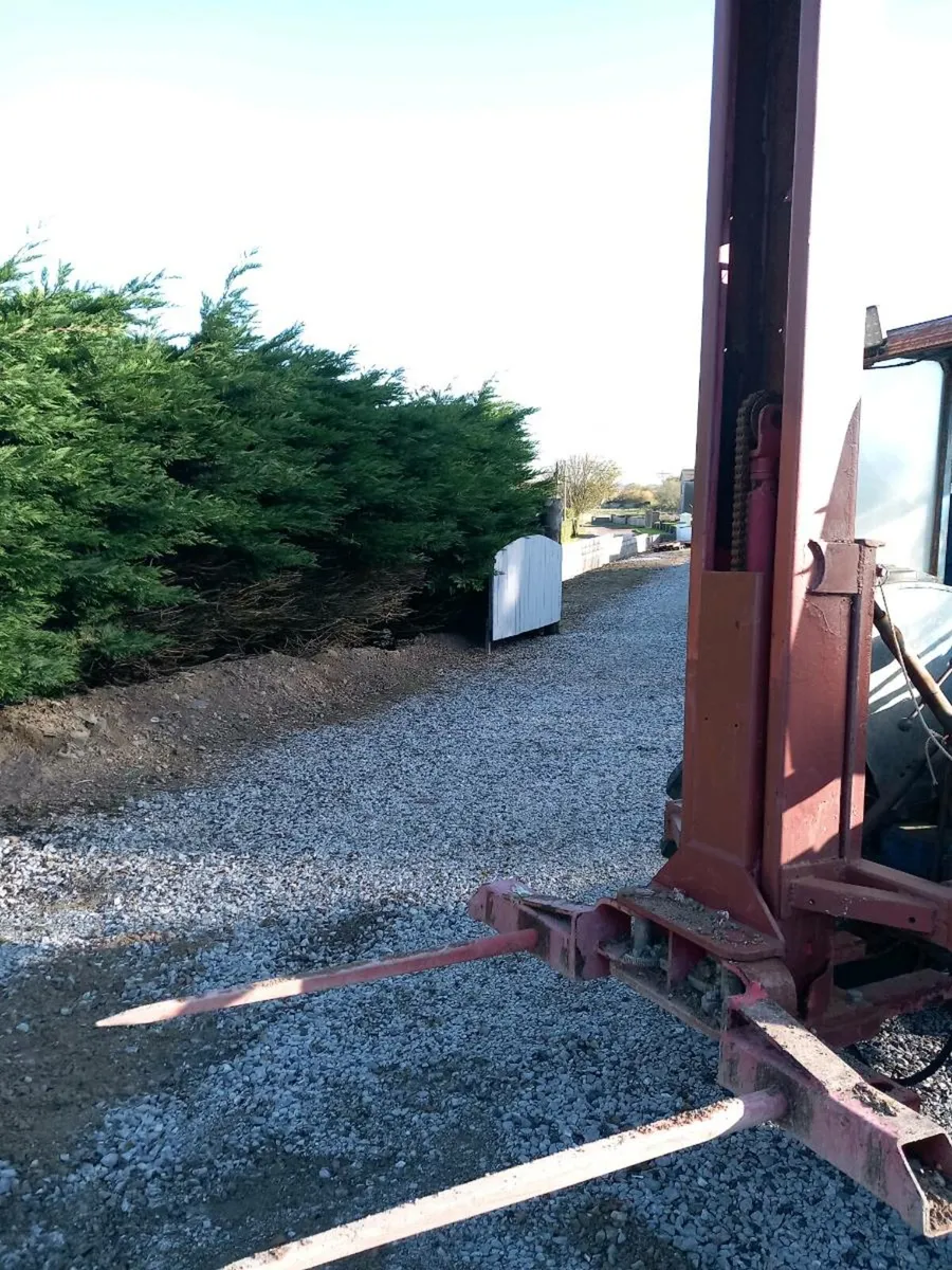 Bale Spike on mast - Image 3